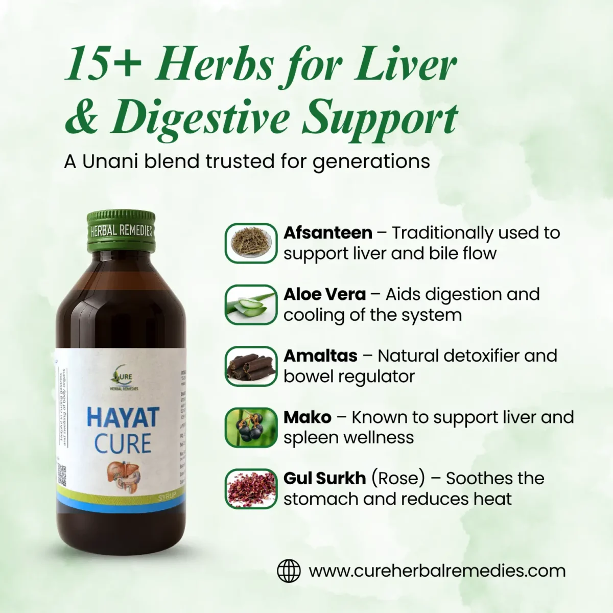 Hayat Cure Syrup - Image 3