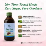 Liver Cure DS Sugar Free Syrup - Image 3