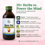 Master Mind Syrup - Image 3